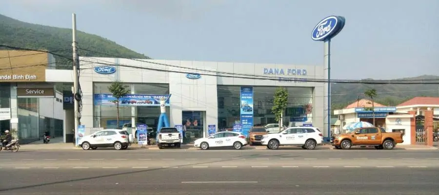 dana ford binh dinh
